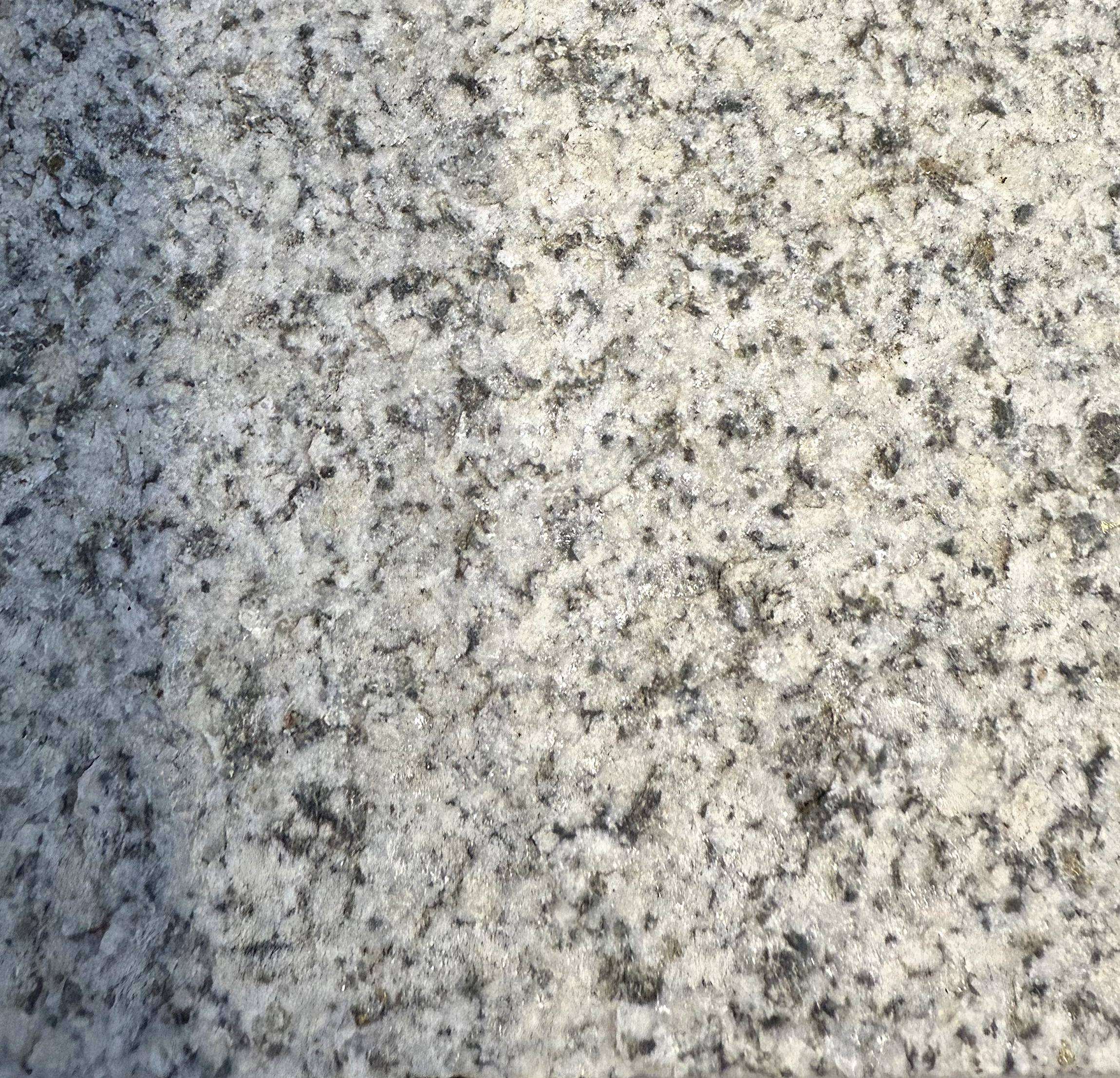 БРУСЧАТКА МАНСУРОВСКИЙ